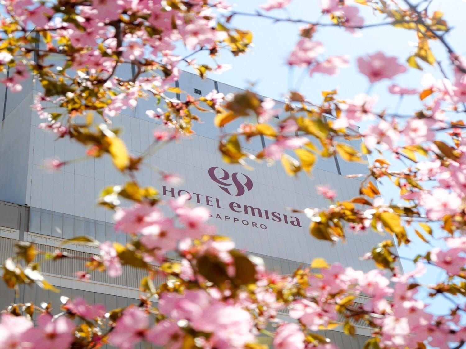 Hotel Emisia Sapporo Exteriör bild